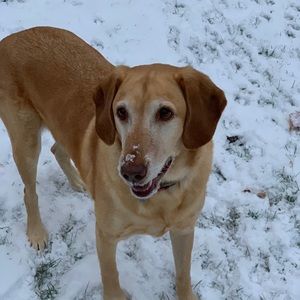 Meet your Posher, Leah